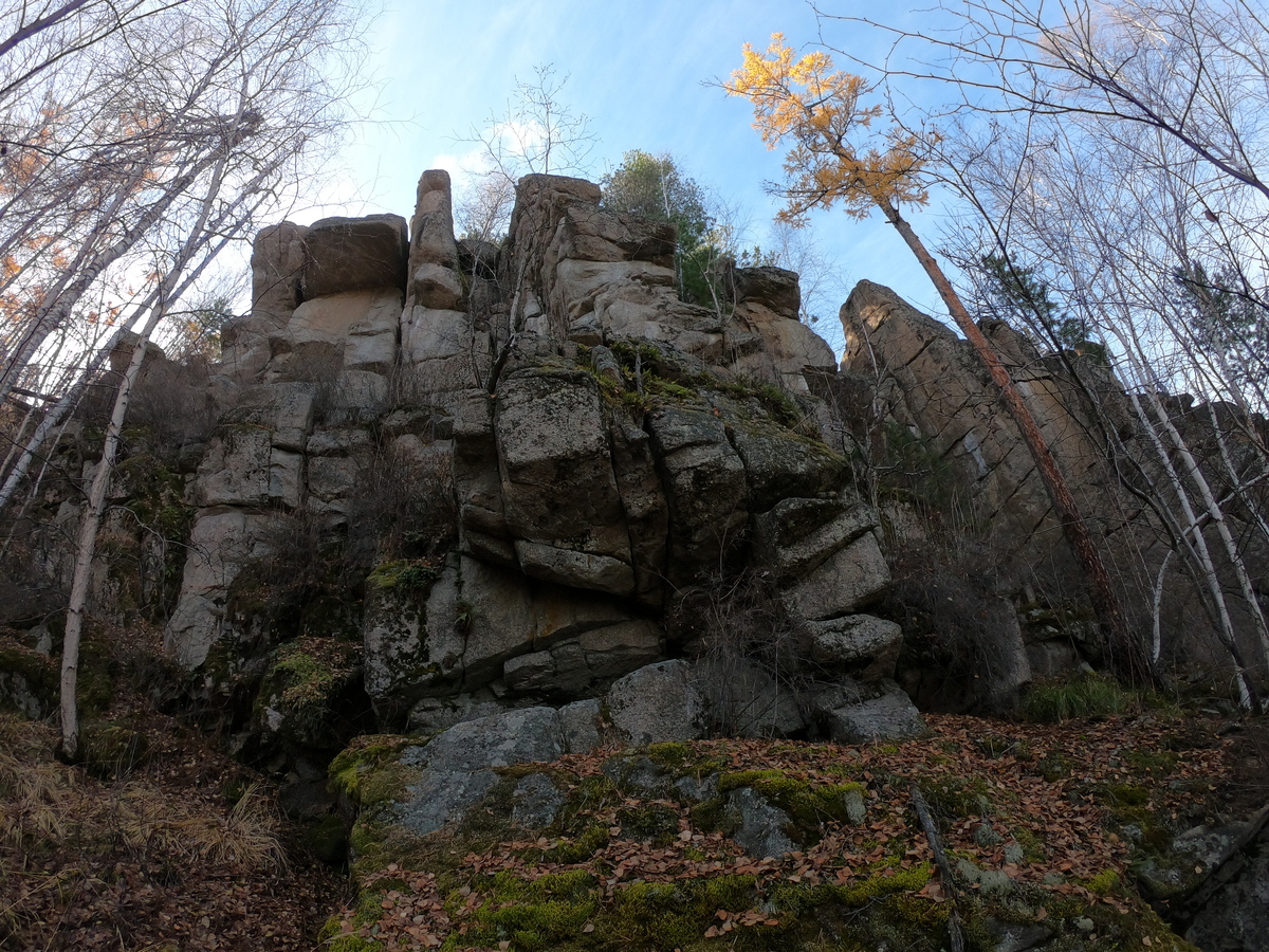 ����� �������� �����������