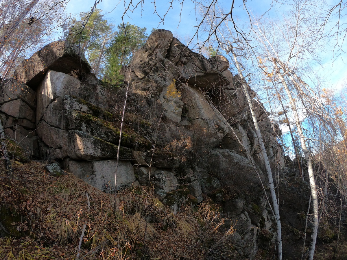 ����� �������� �����������