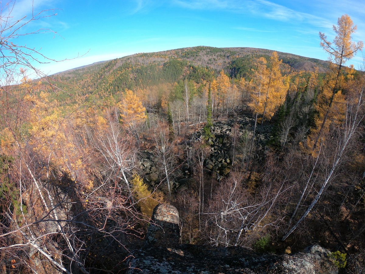 ����� �������� �����������