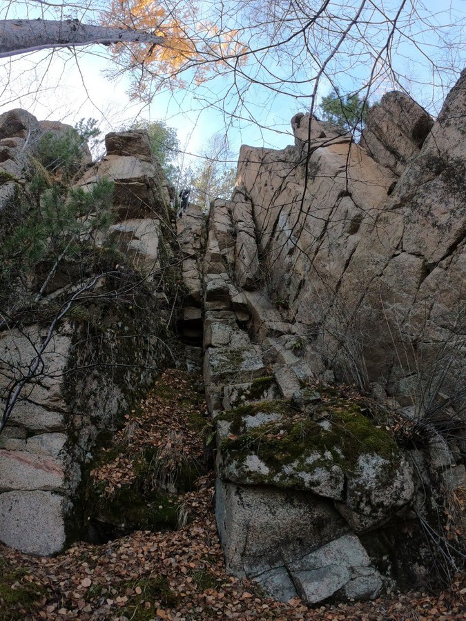 ����� �������� �����������