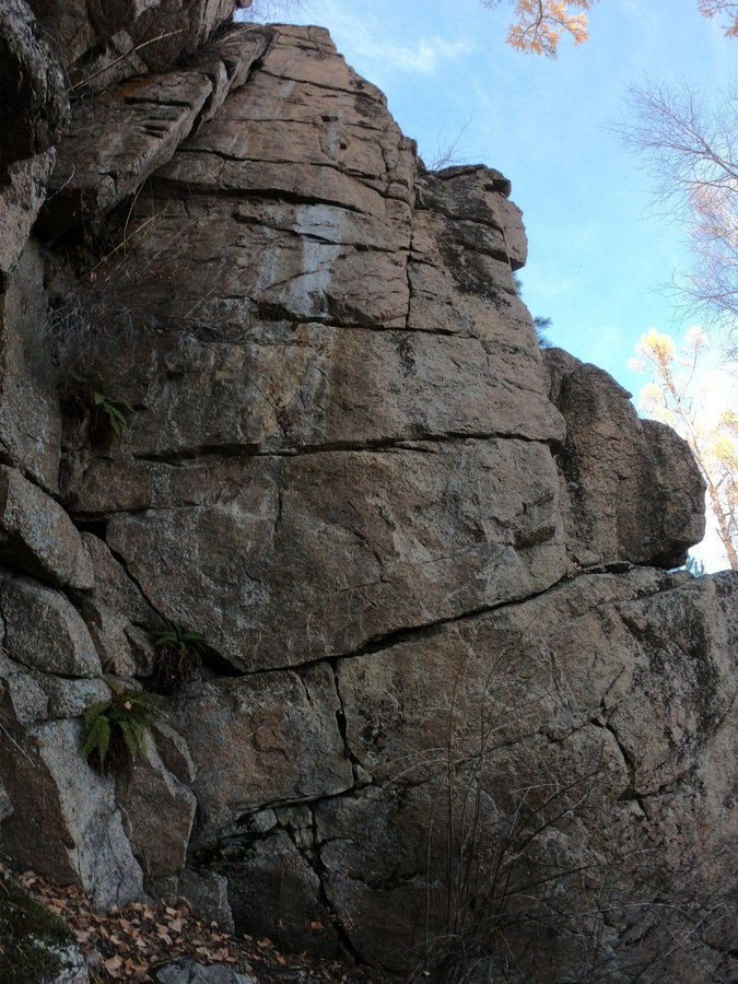 ����� �������� �����������