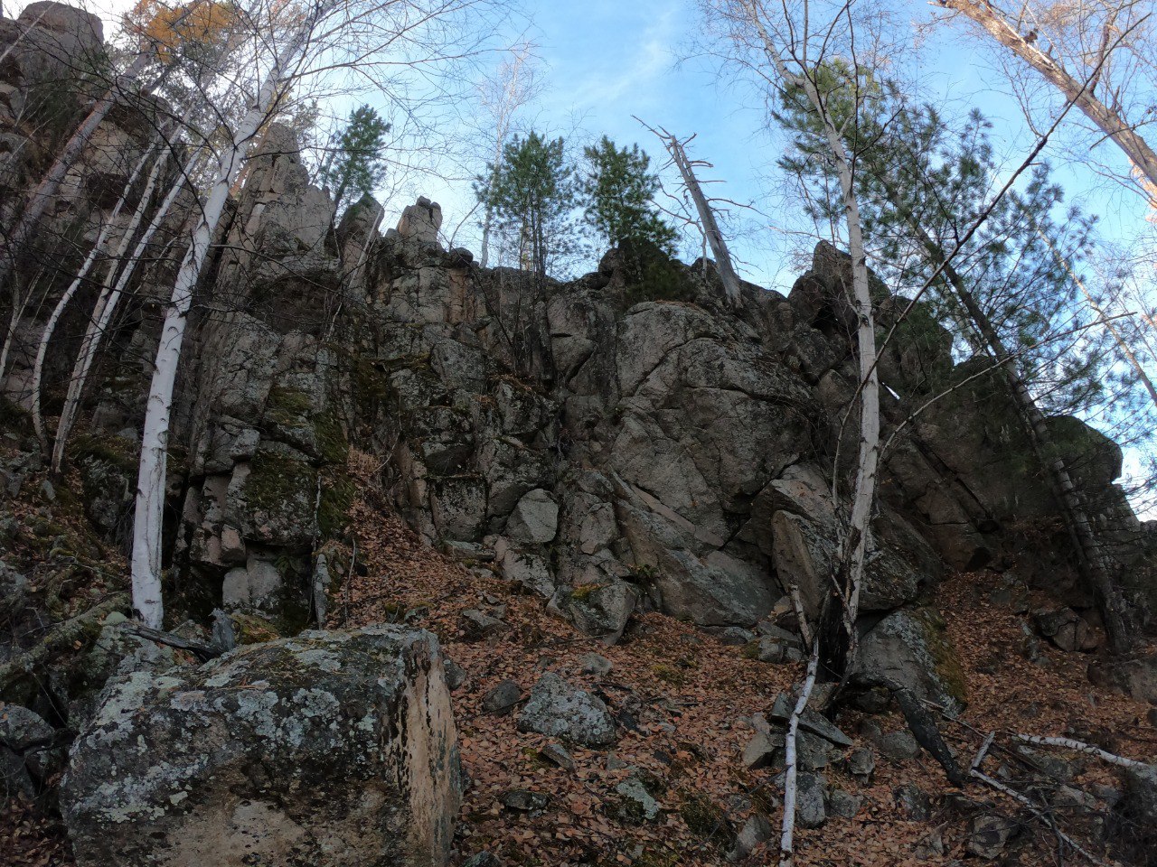 ����� �������� �����������