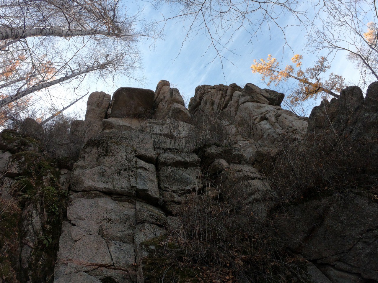 ����� �������� �����������