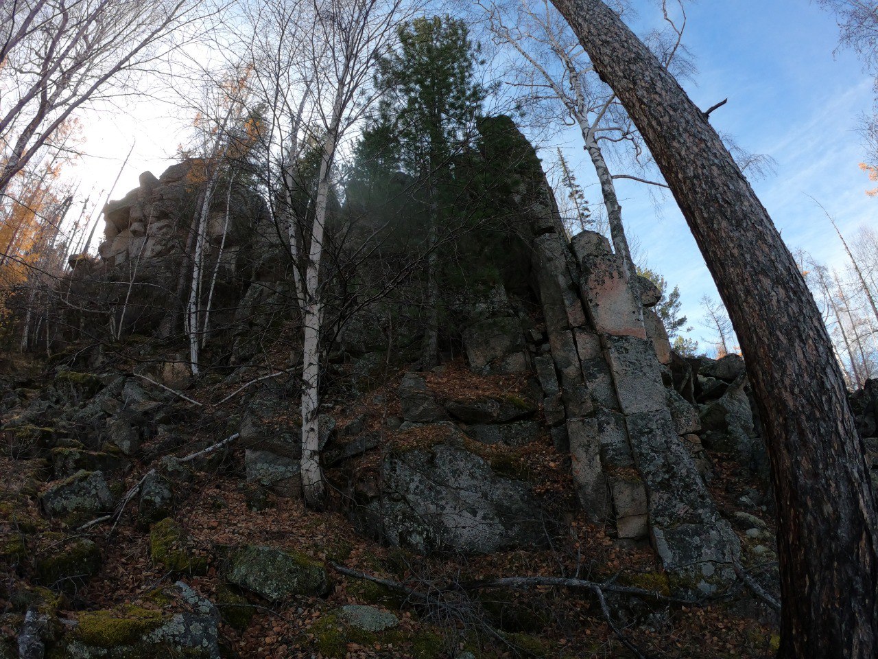 ����� �������� �����������