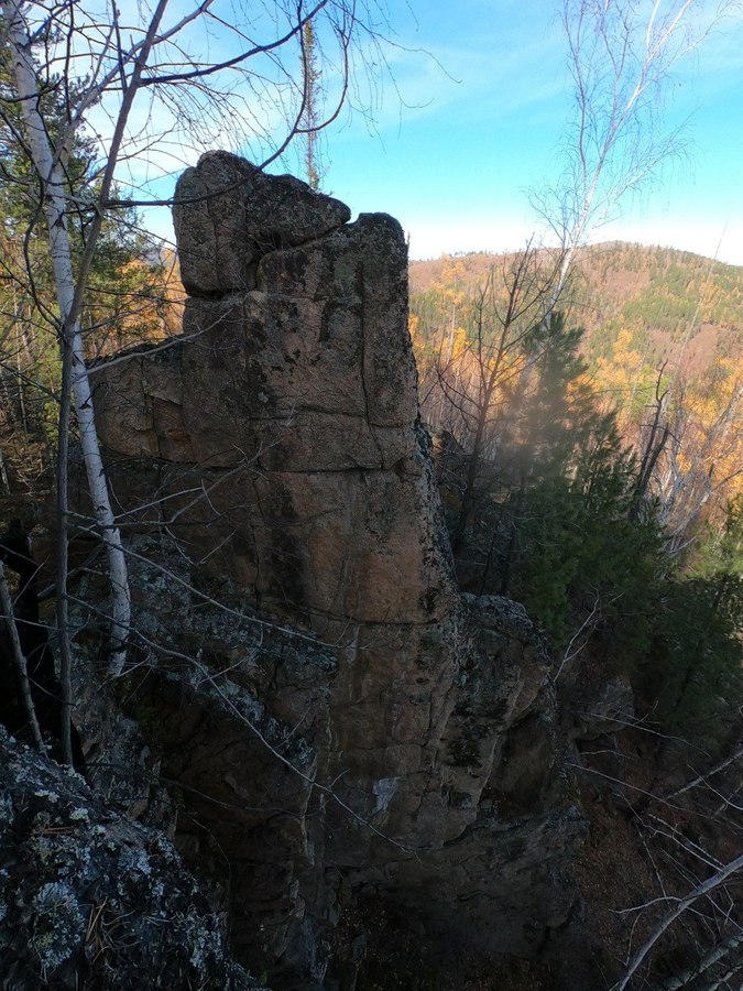 ����� �������� �����������