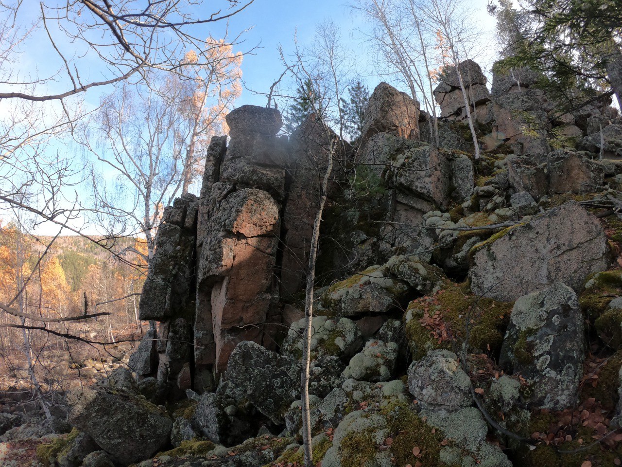 ����� �������� �����������