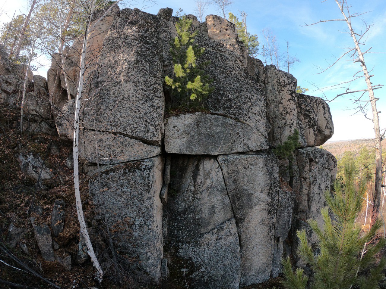 �������� ��������