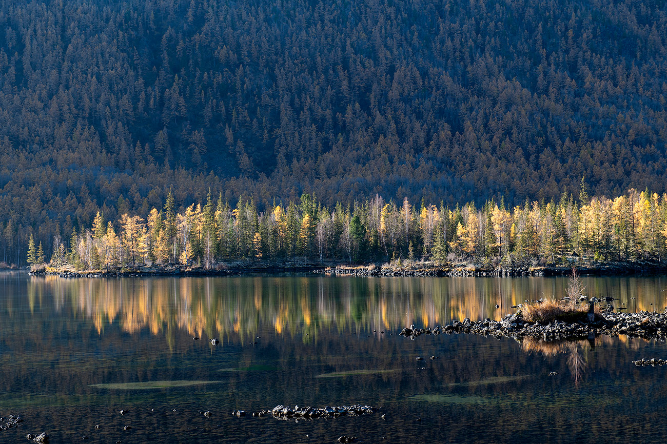 ��, ����� ����� �����