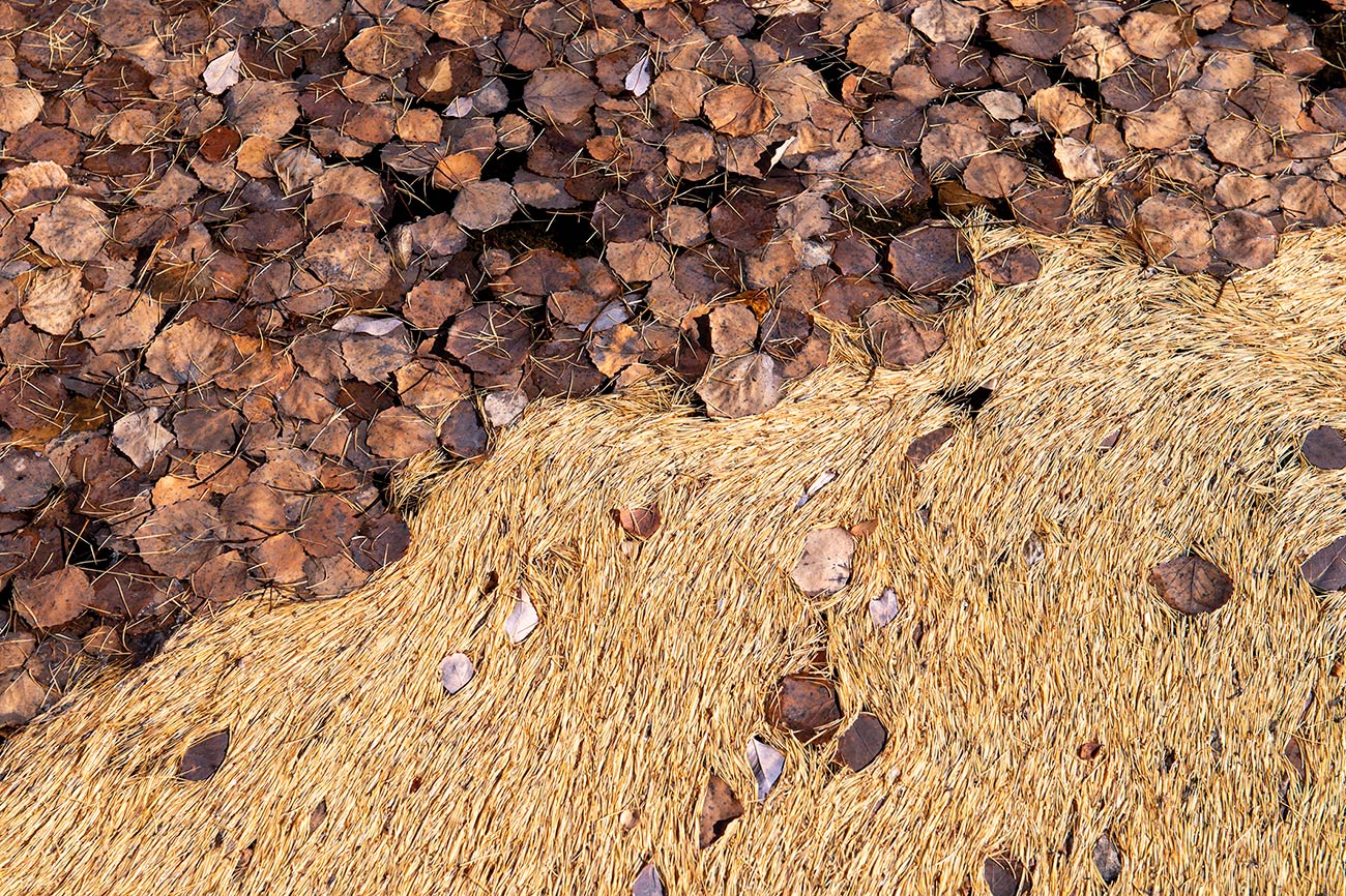 �����, ������� ������