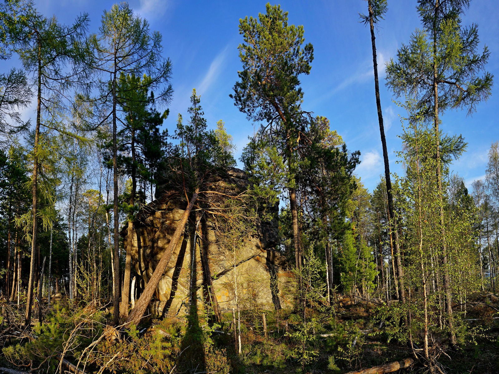 �� �������� �������