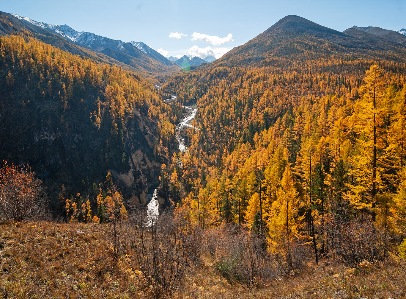 ���-������