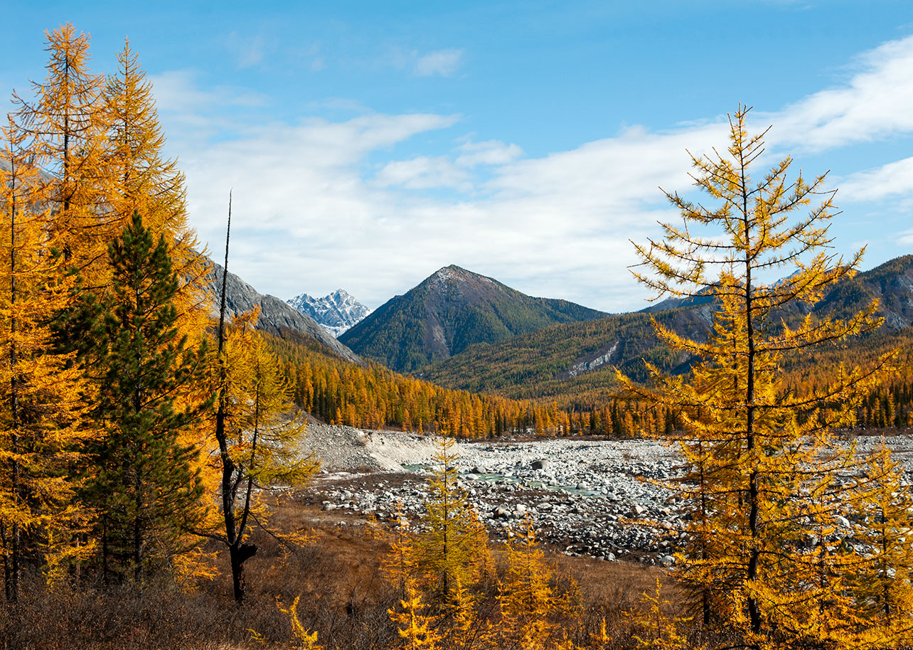 ����� �� ���-����