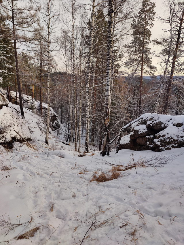 ������� ������, 2025 �