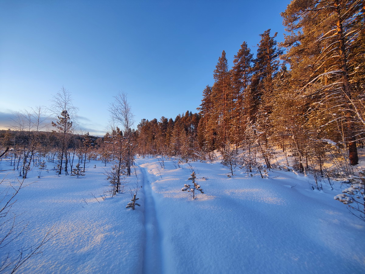 ����� �� ���� �����