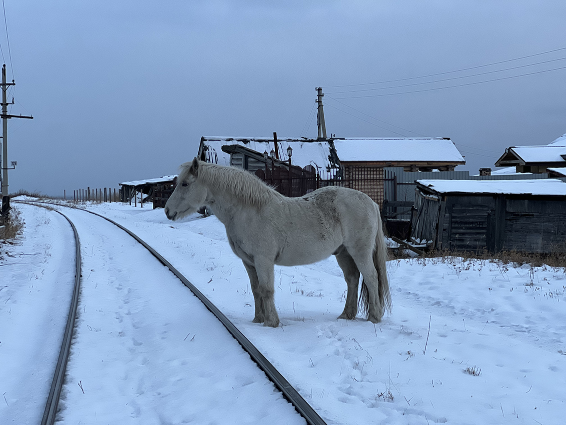 �������, �������� �� ����