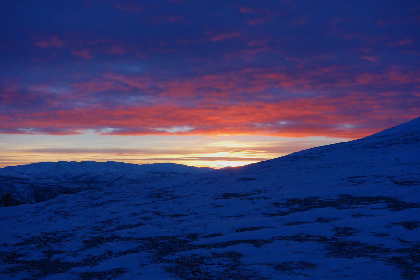 ����� �� ���������� �������