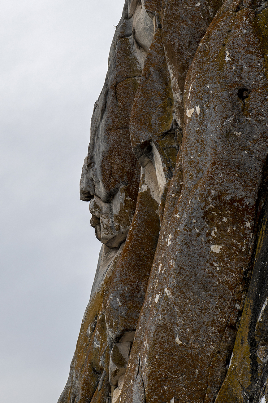 ������� ���� ����