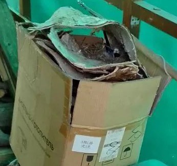 ��� ���� �����. ������ �� ��������. ���� ������ ������� ��������� �����