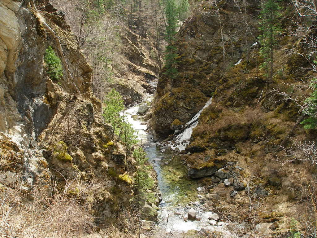 ������ ���� ��������