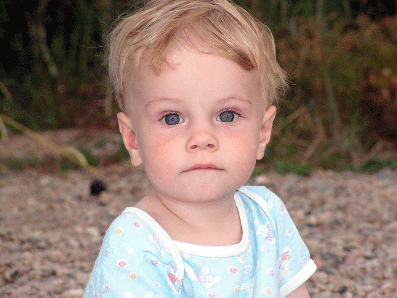 ���� ������ �� ����-����