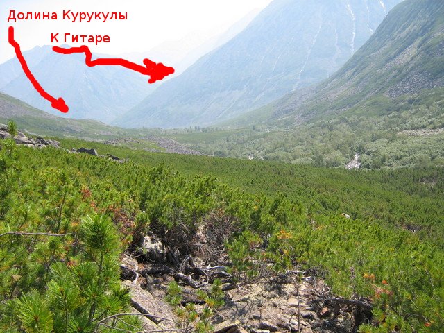 Царство стланника