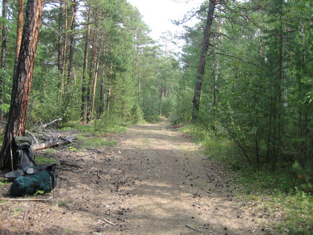 Лесовозная дорога