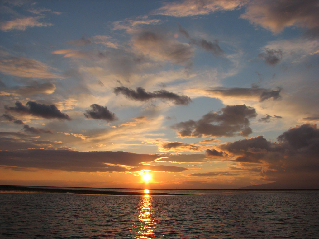  2007