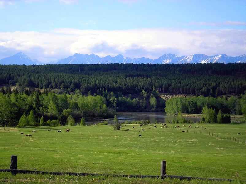 "....   ,   ...... ...."