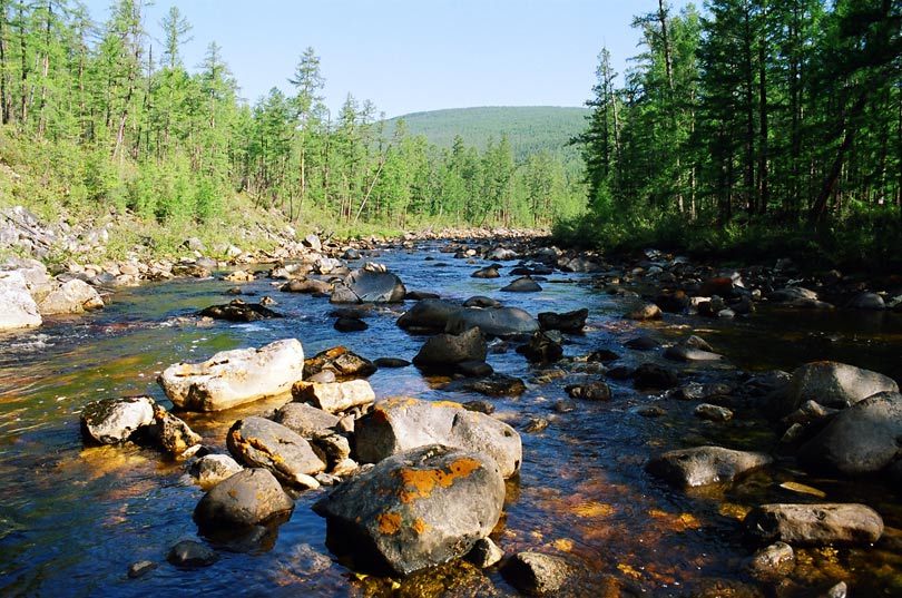 Вверх по реке