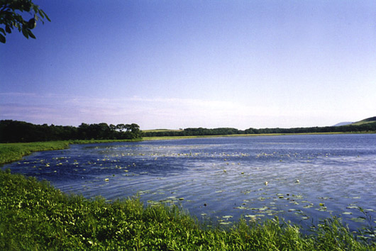 ����� �������, �. ��������