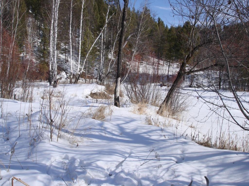 ������ ������