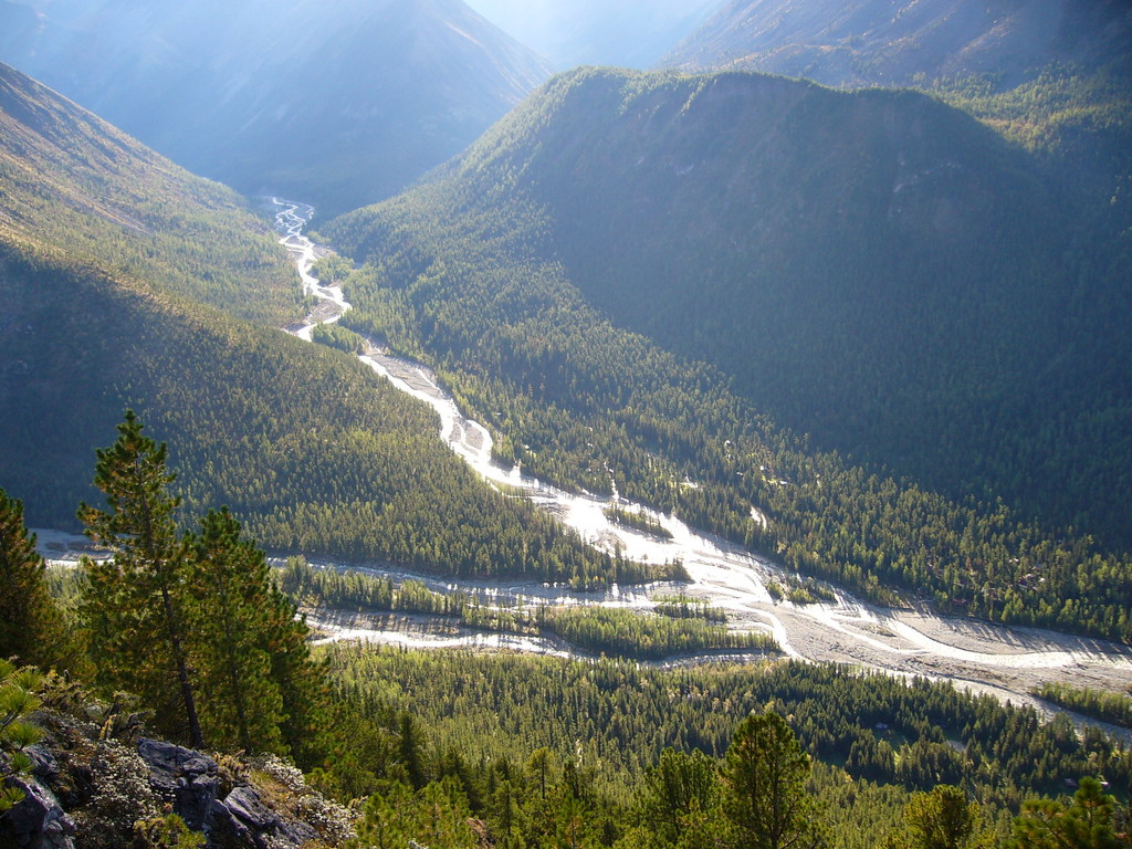       2007.