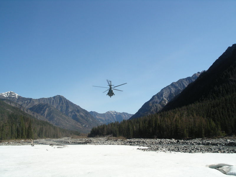 ��� ��� � ���� ��� 6000�.