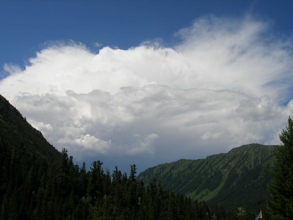 � ���� ���� ��������