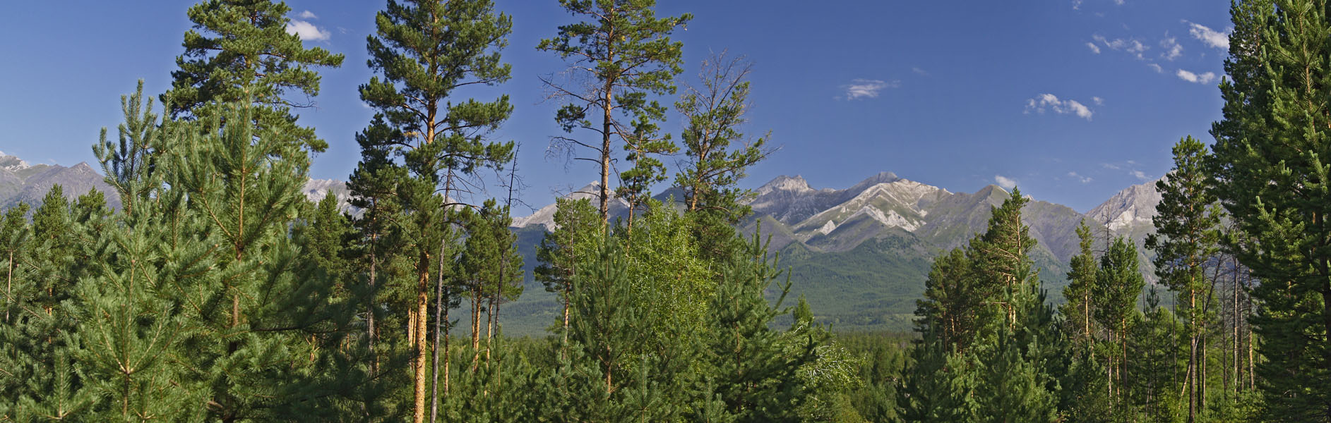 ��� � ������