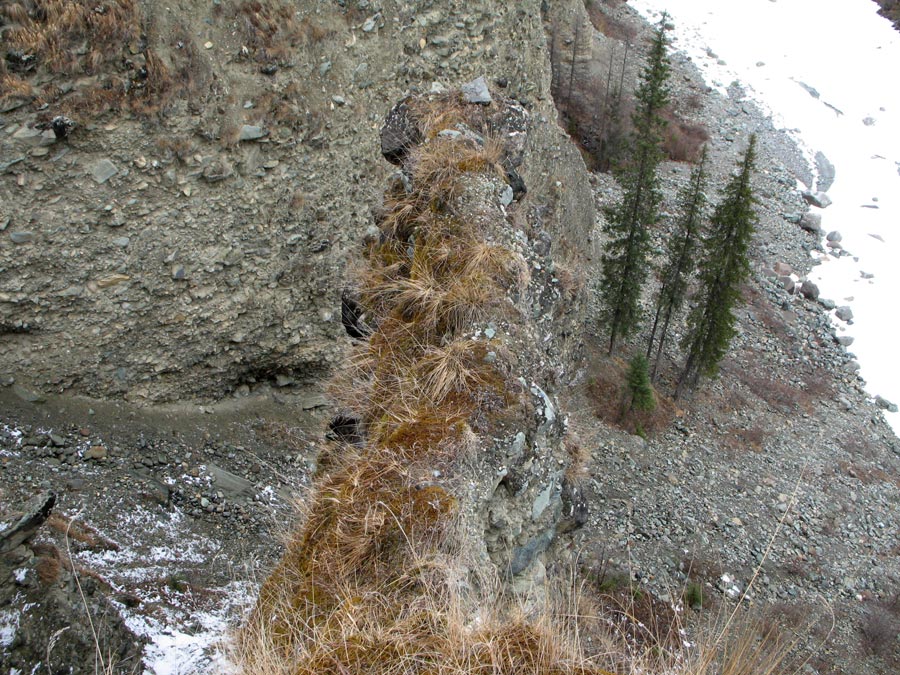    II