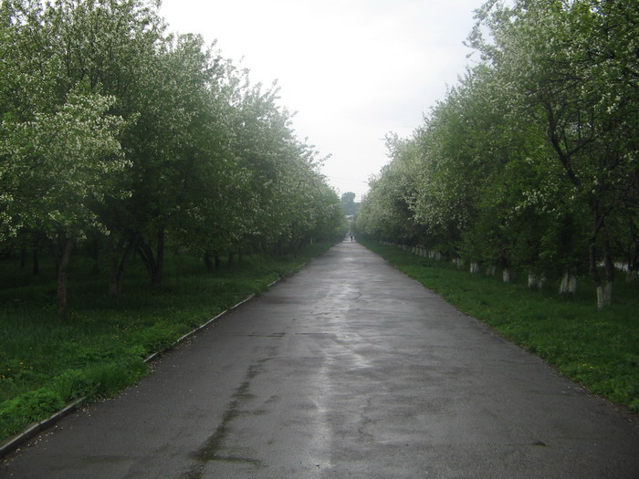 1     .