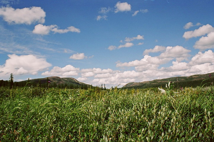 Луга у истока
