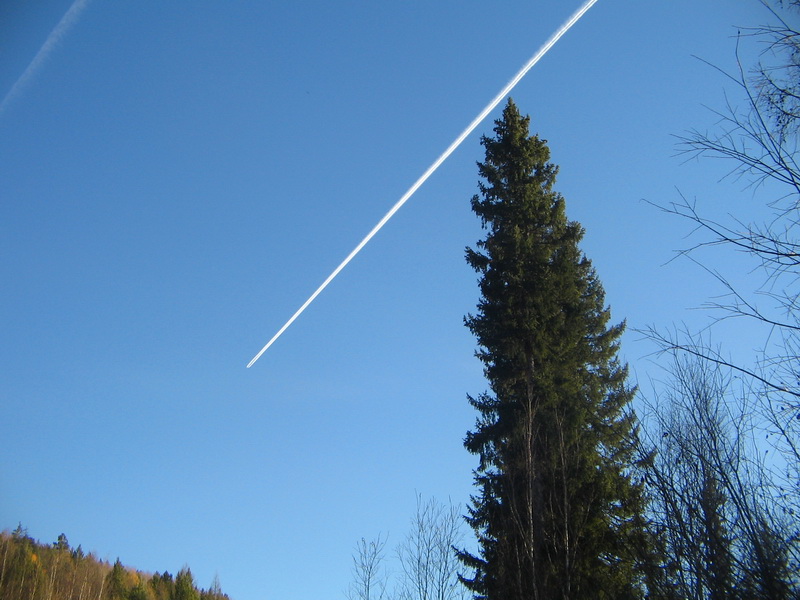 ������� ����������� ���������������!