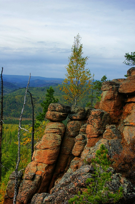 ������ � ������������ "������" 