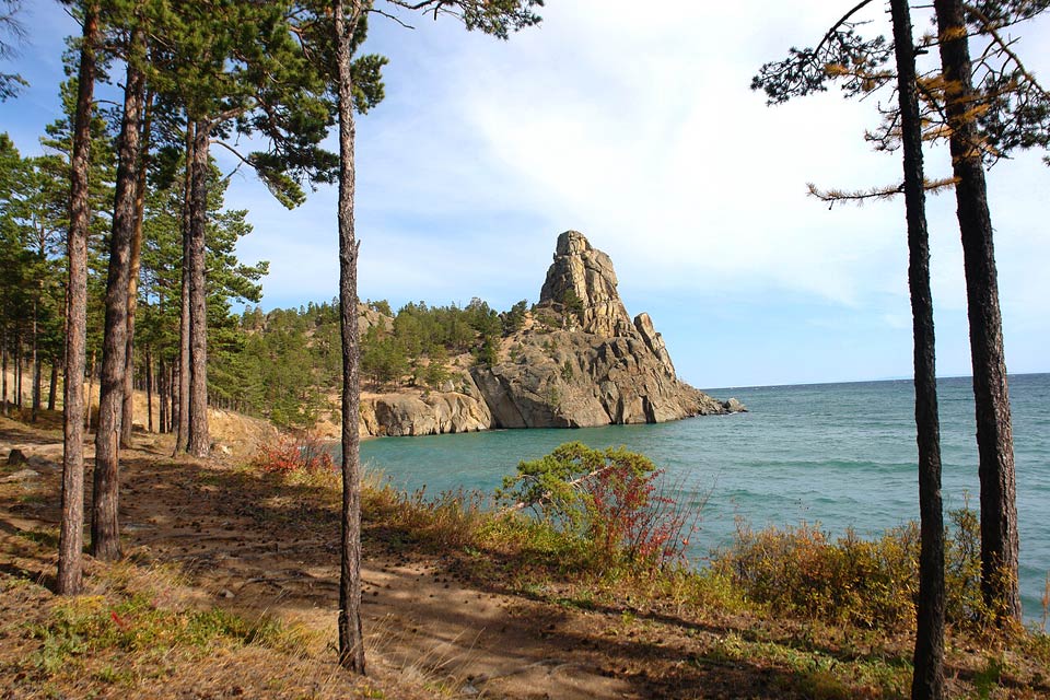 Байкал берег сосны