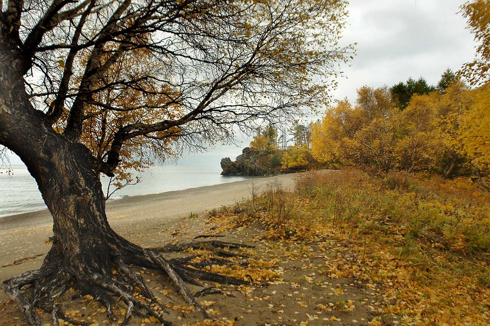 30. В бухте Сухая.