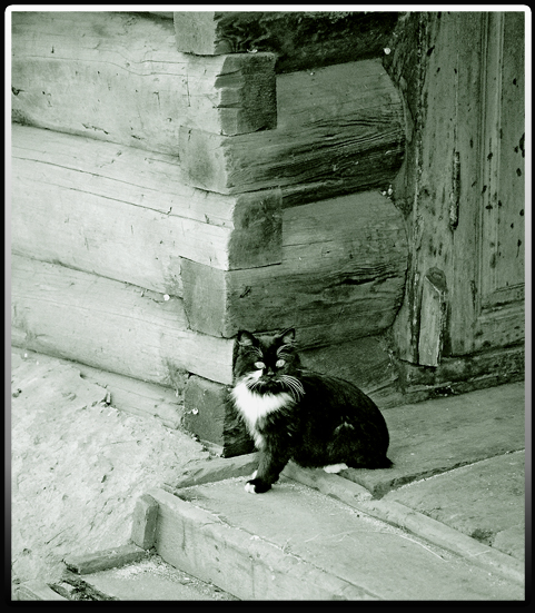 ��������� ����������� ������-