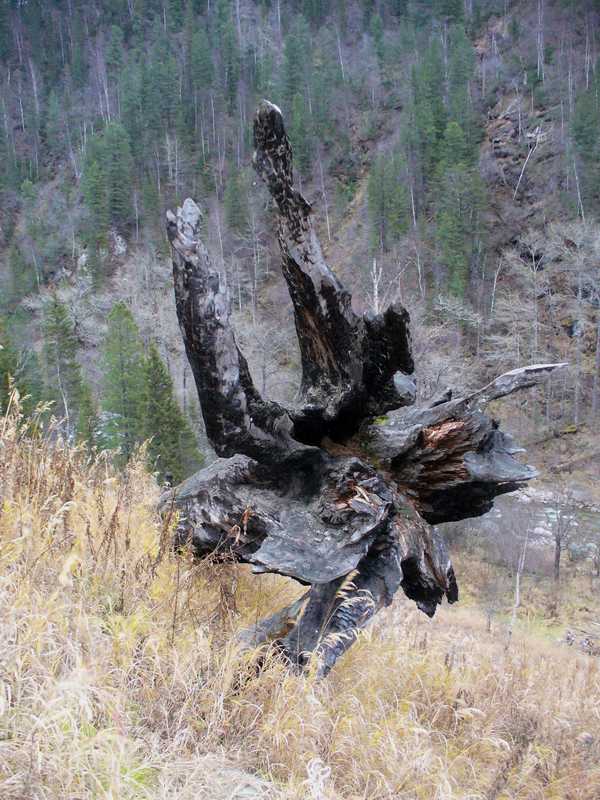 ���-�� ������� � ����������.