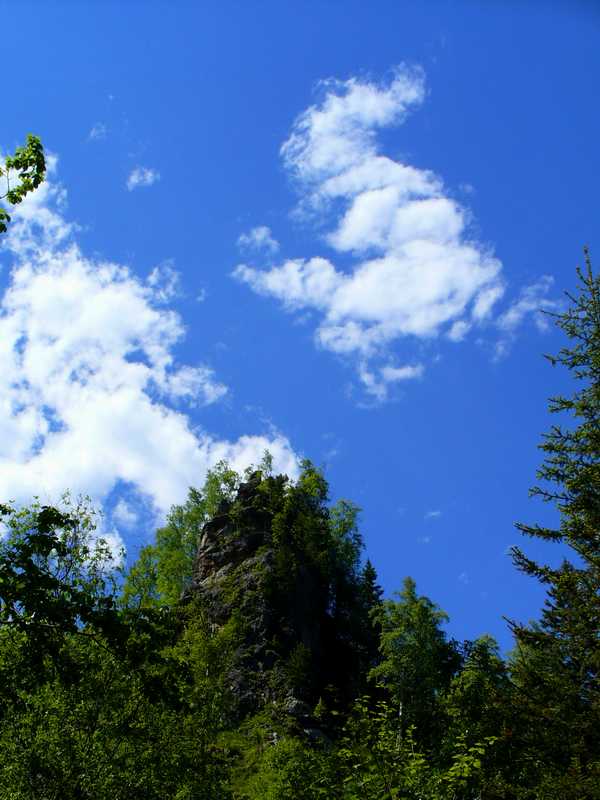 �������� ���������.