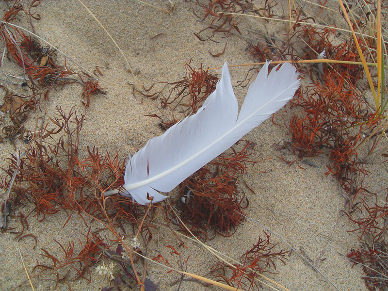 ������� �� �������...