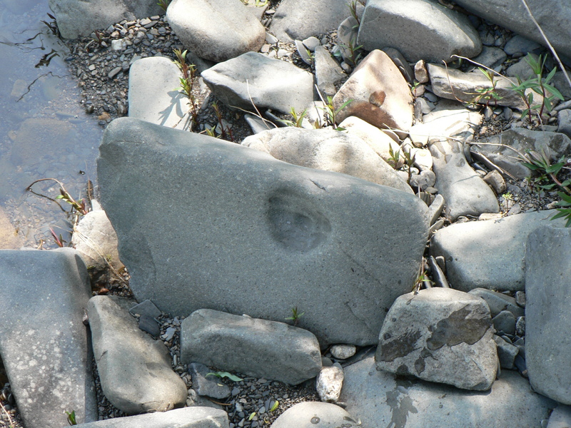 ��� �� ����?