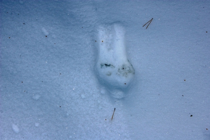 ��� ����?