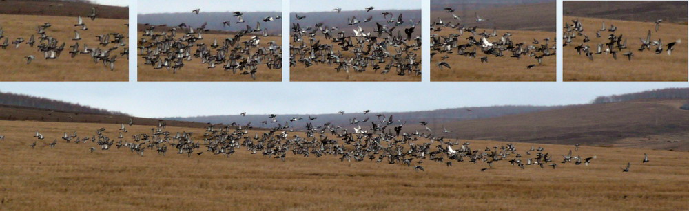 ����� �� �����.