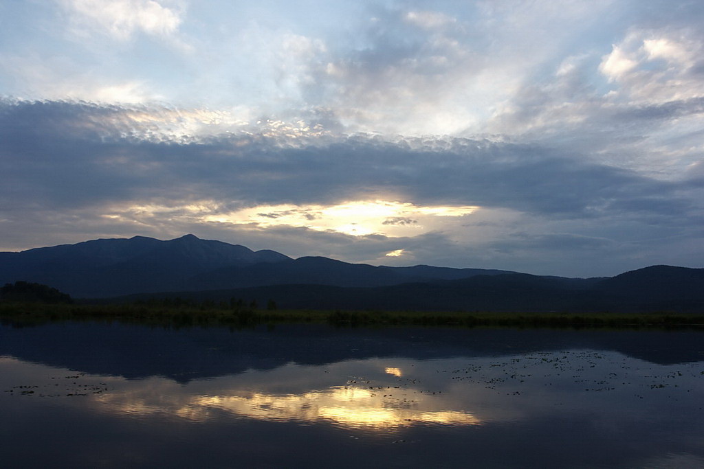 Без комментариев